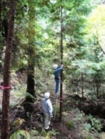 朝倉の森での森林体験